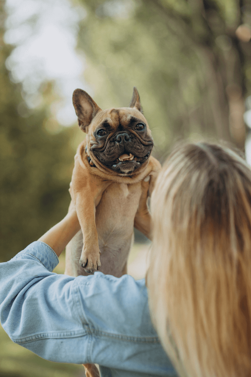 Happy Pet